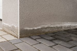 Traitement des remontées par capillarité Fleurbaix